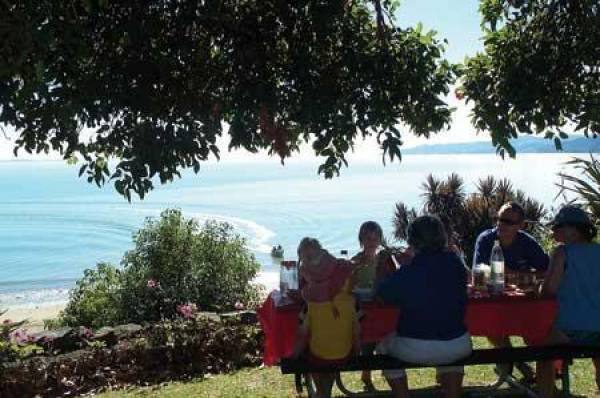 Lunch under the gum tree