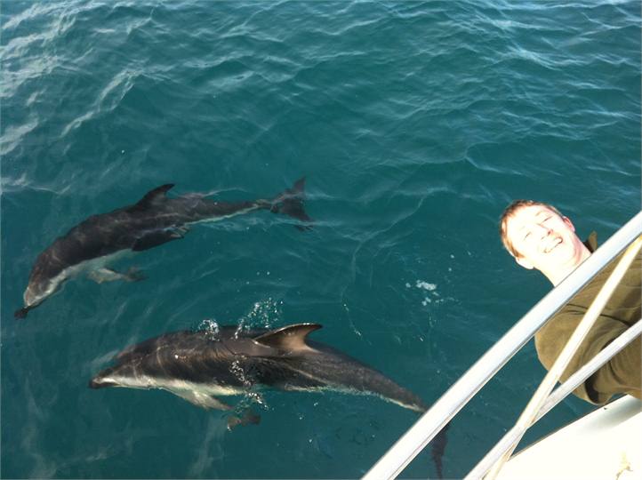 Out with the Dolphins