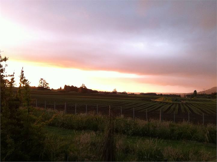 Outlook from side of house