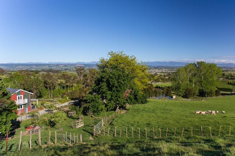 View from the 'top paddock'