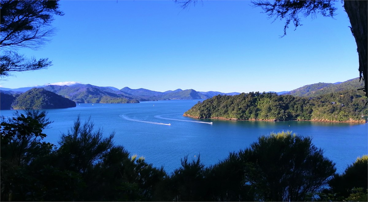 Walking track to Momorangi