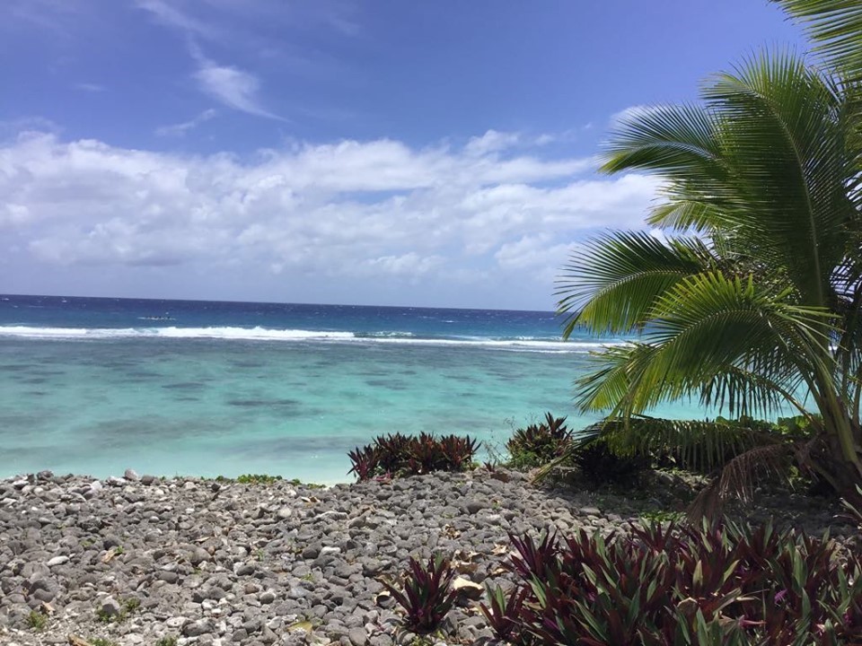 Can you see the whale? There's one there - July-No