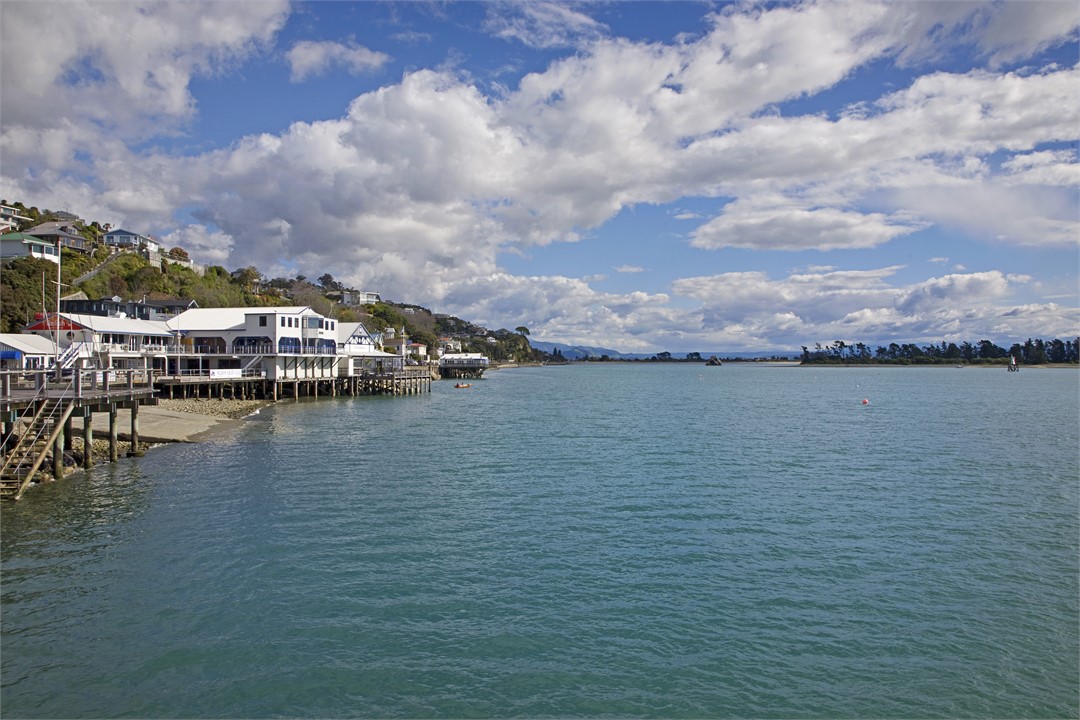 Nelson Waterfront area, 100m away from the Apt.