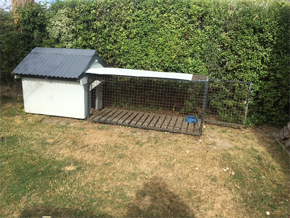 Dog Kennel and Run