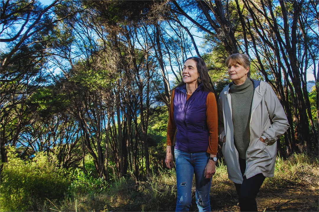 Take a walk on the Queen Charlotte Track