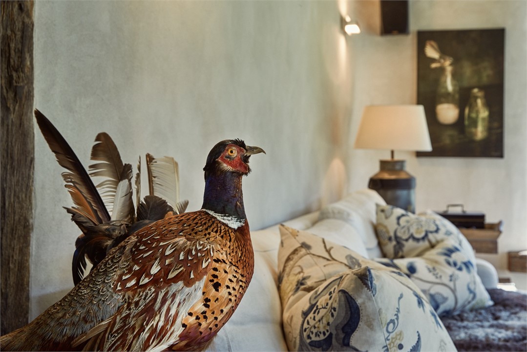 design architectural house artist piano