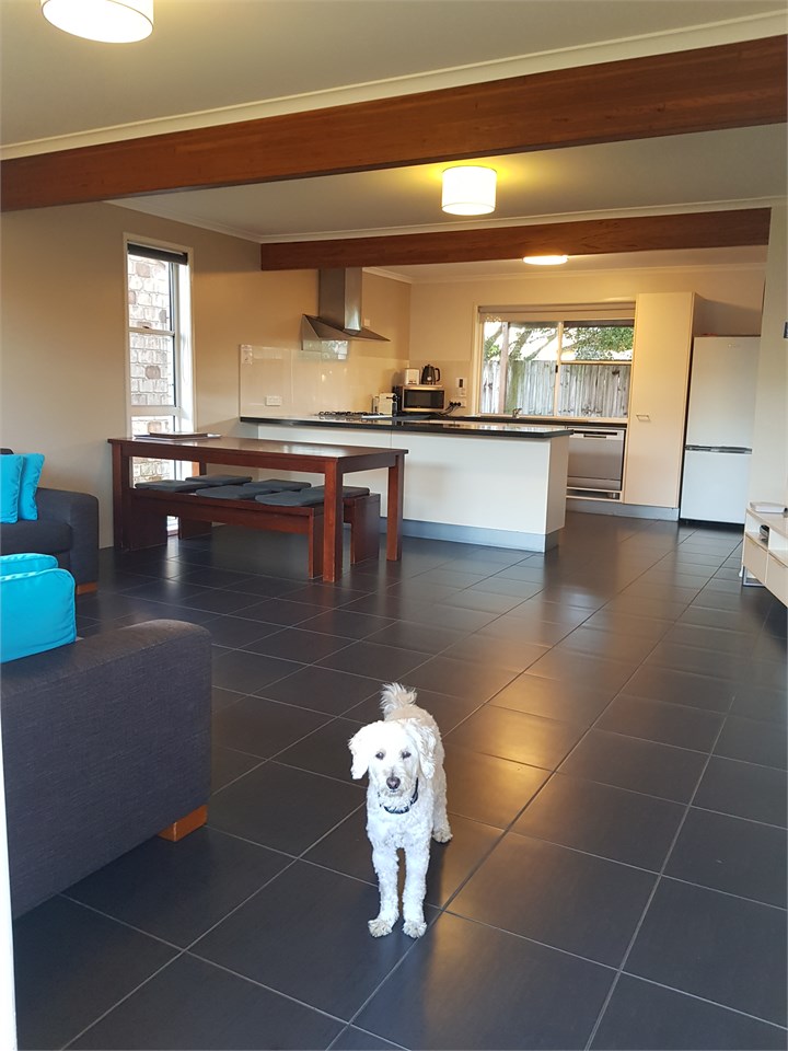 Open Plan Living, Dining, Kitchen area.