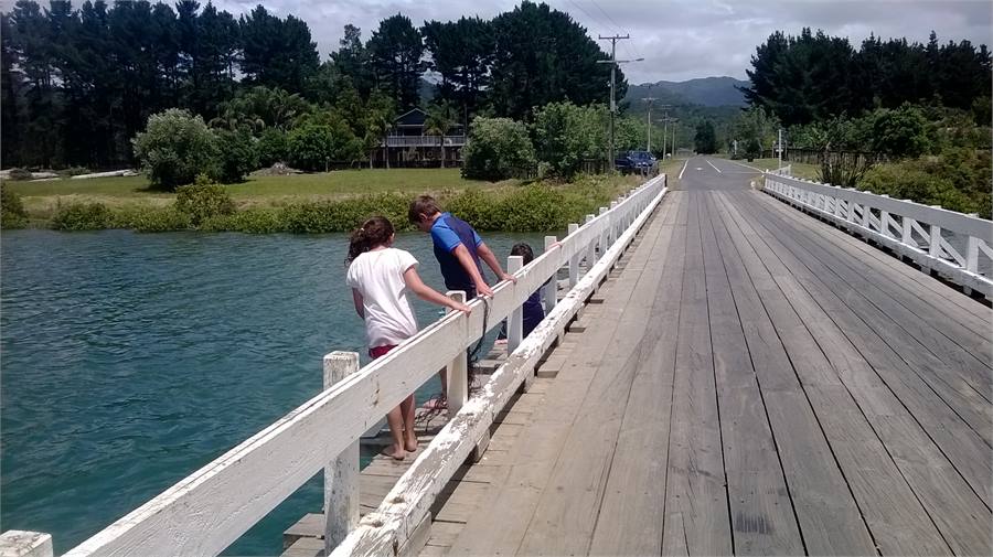 Swimming off the bridge