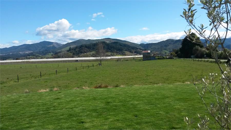  View from patio across the farm