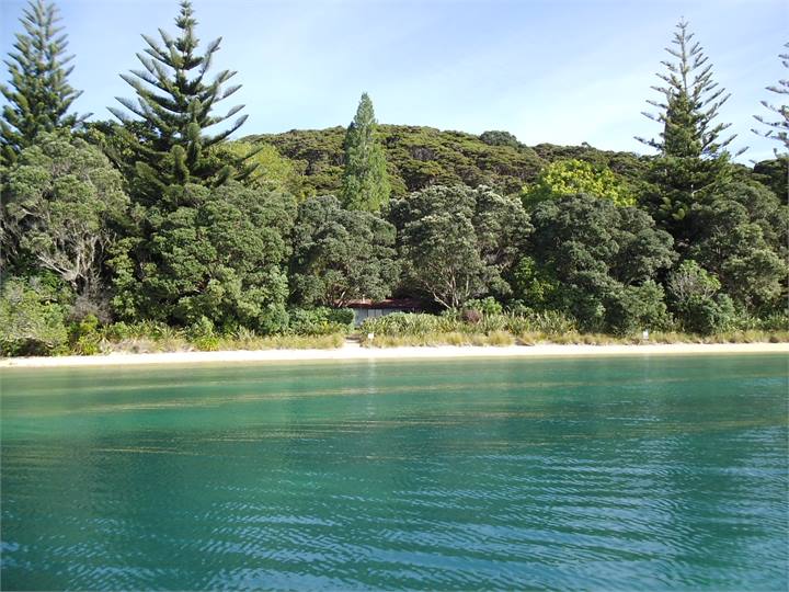 Looking in from the Bay