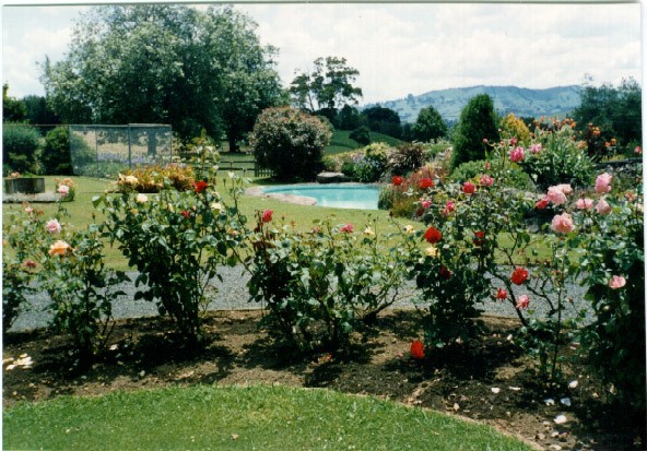 Rose garden