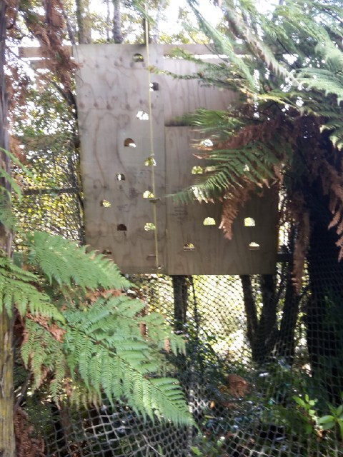 kids can climb the wall