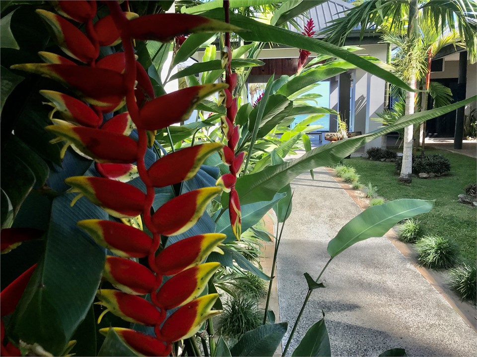 Your hidden entrance to paradise