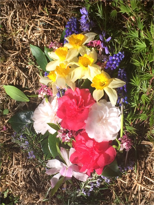 Spring flowers from the garden