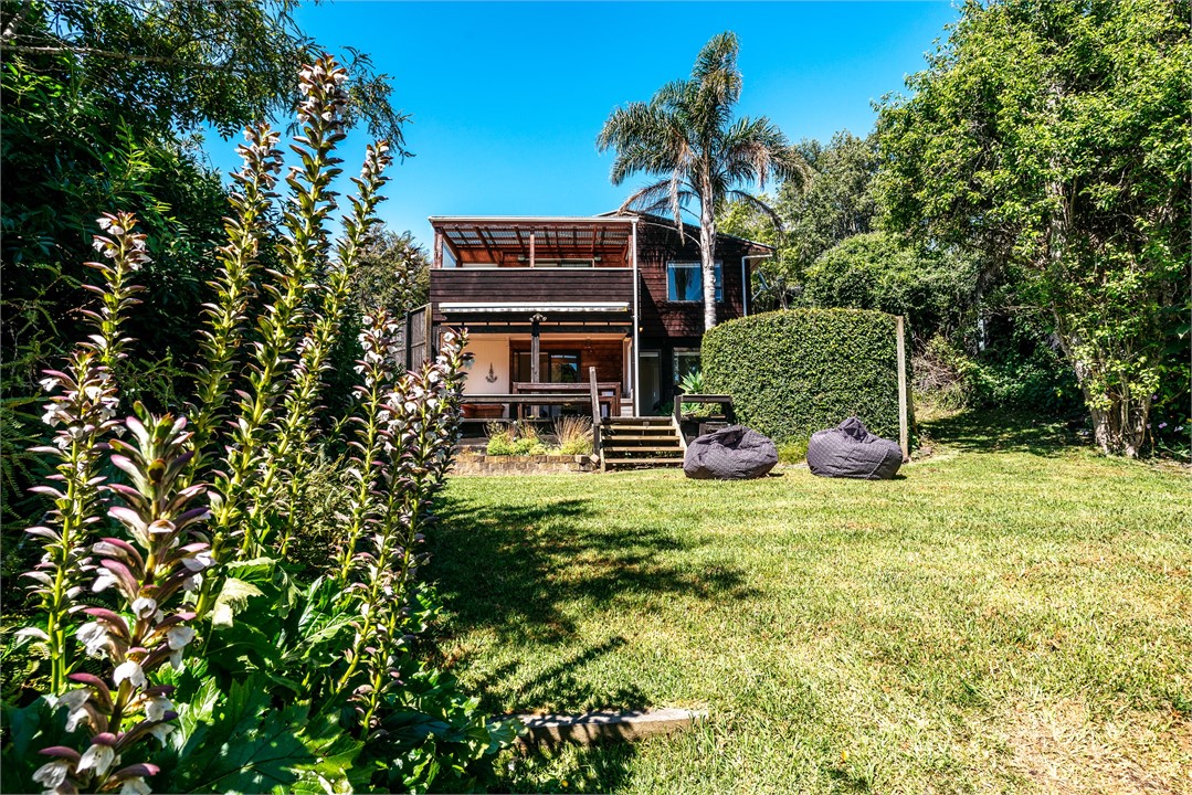 Back lawn and garden