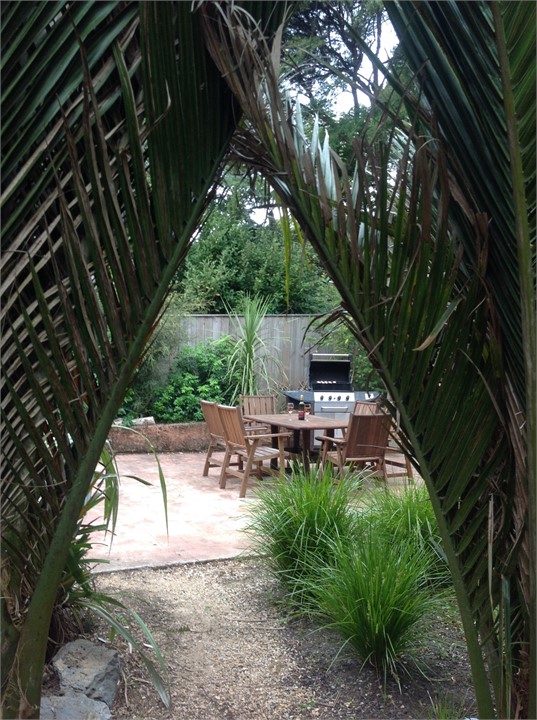 Weka, Tui, Fantail and Bellbird frequently visit