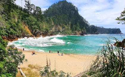 Coastal walks from Onemana to Pokohino Bay (pictur