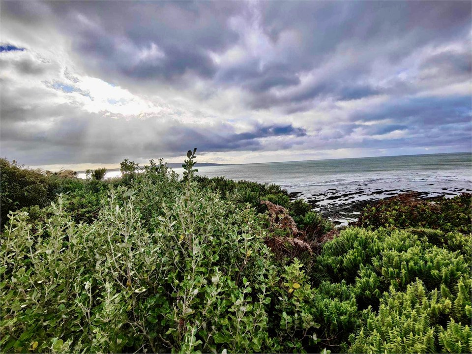 View east from the backyard