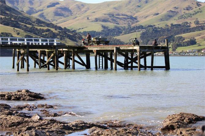 Fishing off the wharf (10 min, easy, flat walk)