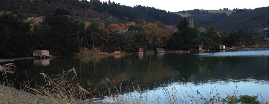 Beautiful Blueskin Bay