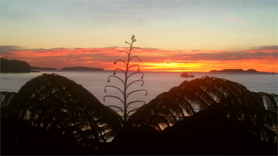Sunrise looking out lounge room window.