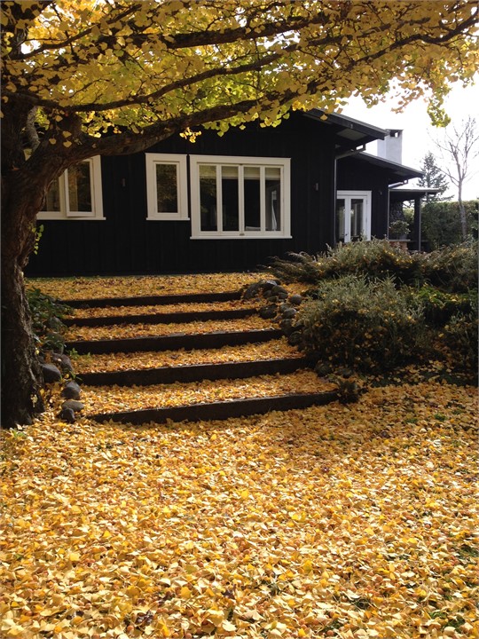 lodge from lower garden