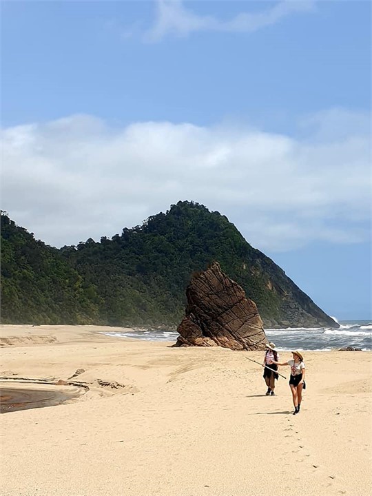 Golden beaches on the Heaphy Track