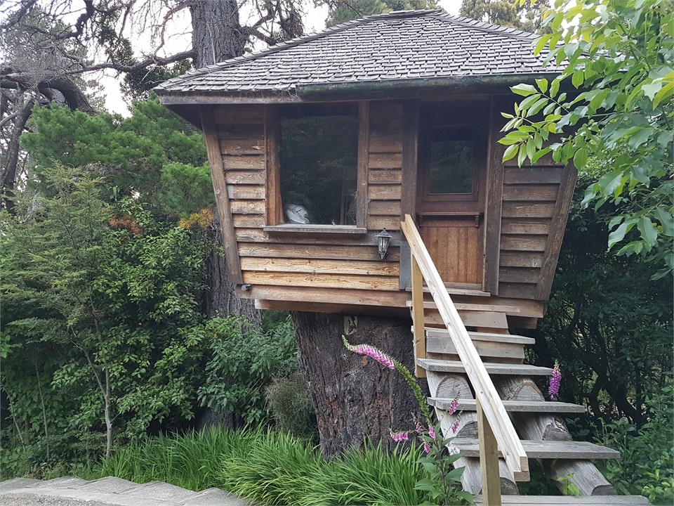 Fairyland tree house