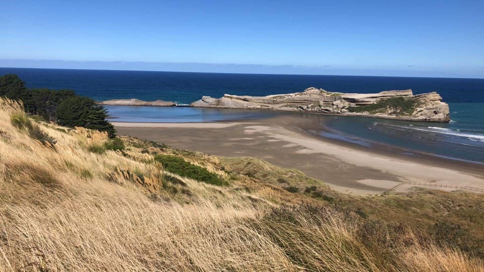 view from walking track