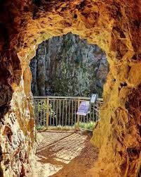 Windows walk in the Karangahake Gorge