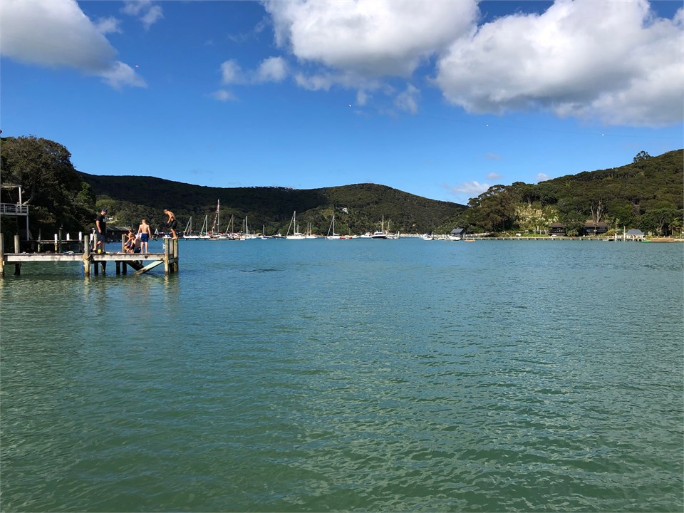 Looking toward North Cove