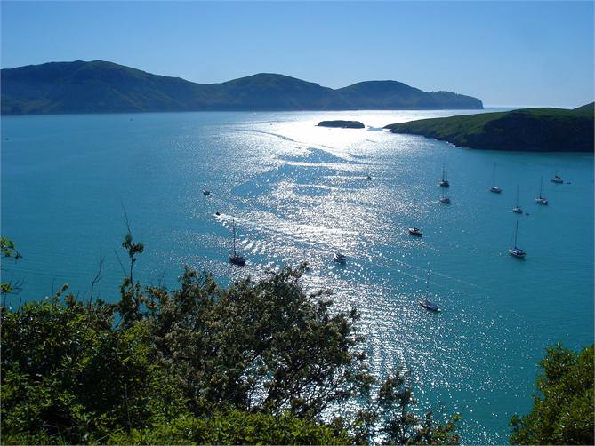 Ripapa Island from the scenic walk to Diamond Hbr