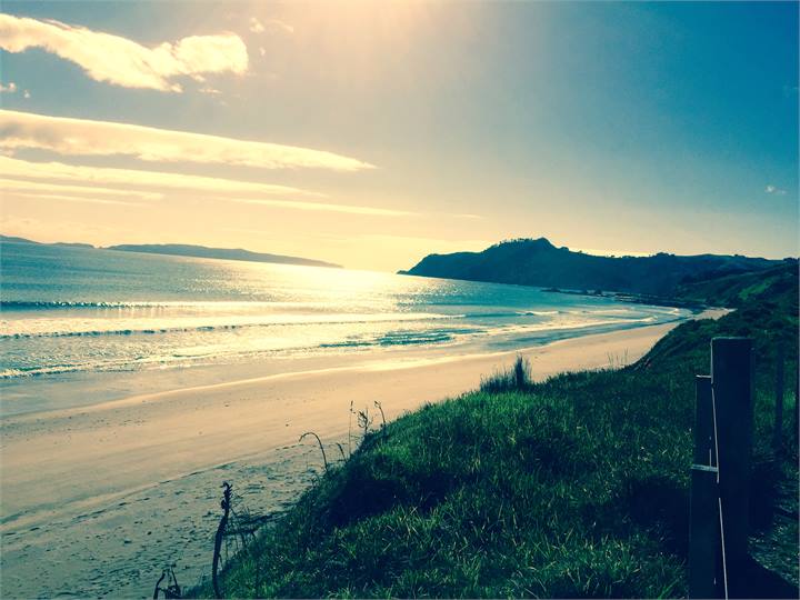 Enjoy this patch of paradise.