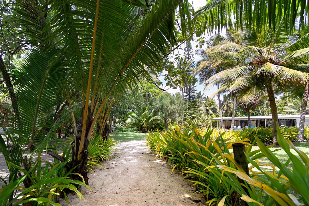 Path from the beach