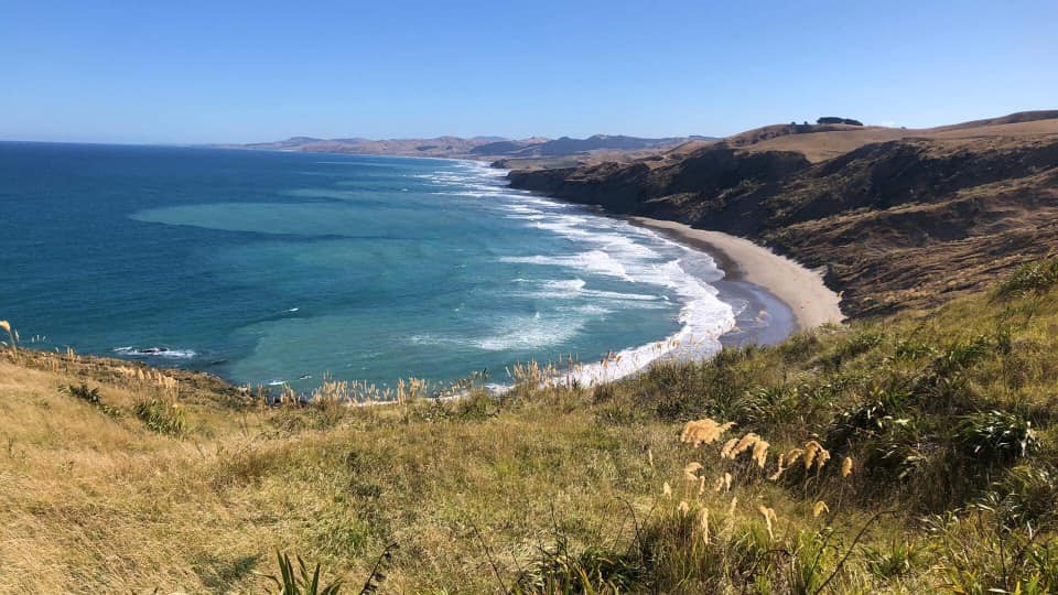 view from walking track