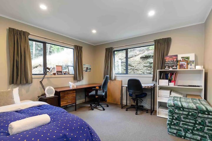 Room with pull out bed