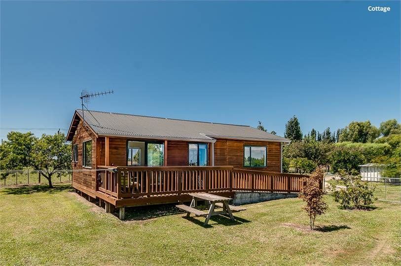 Cedar Cottage Napier Cottage for rent Holiday Houses