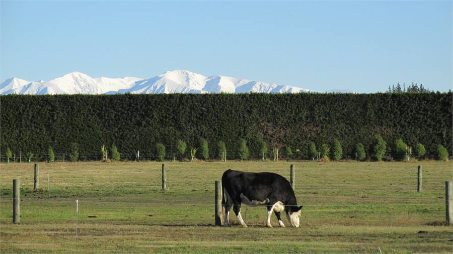 Fresh Snow on Southern Alps