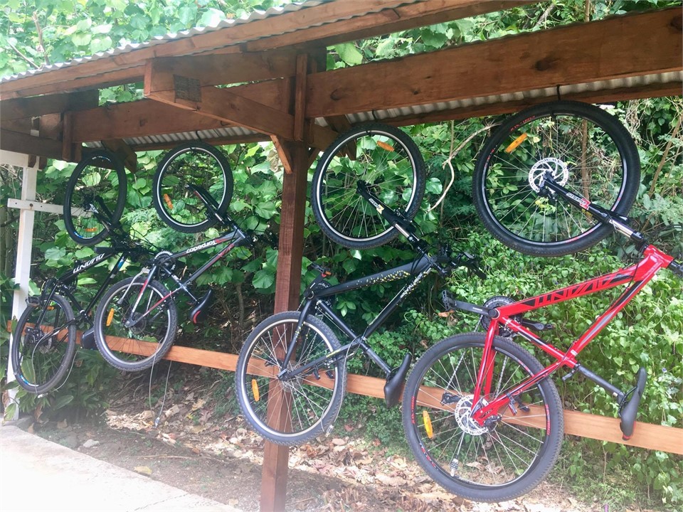 Bikes free for guests use