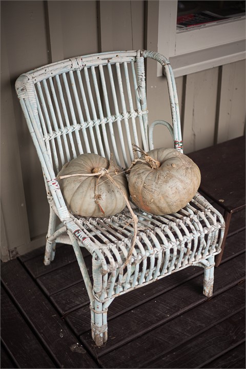 garden produce available