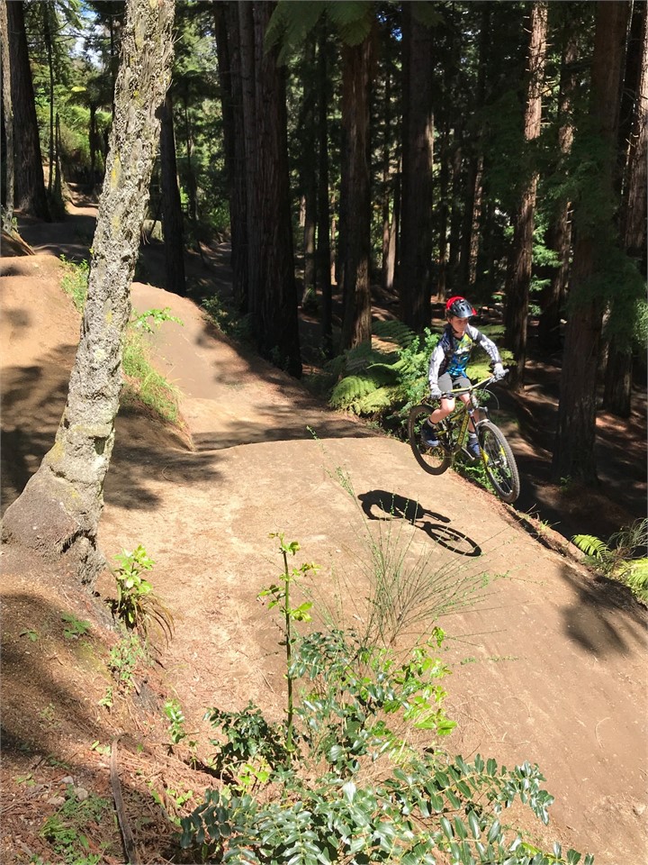 Mountain Biking in the Redwoods