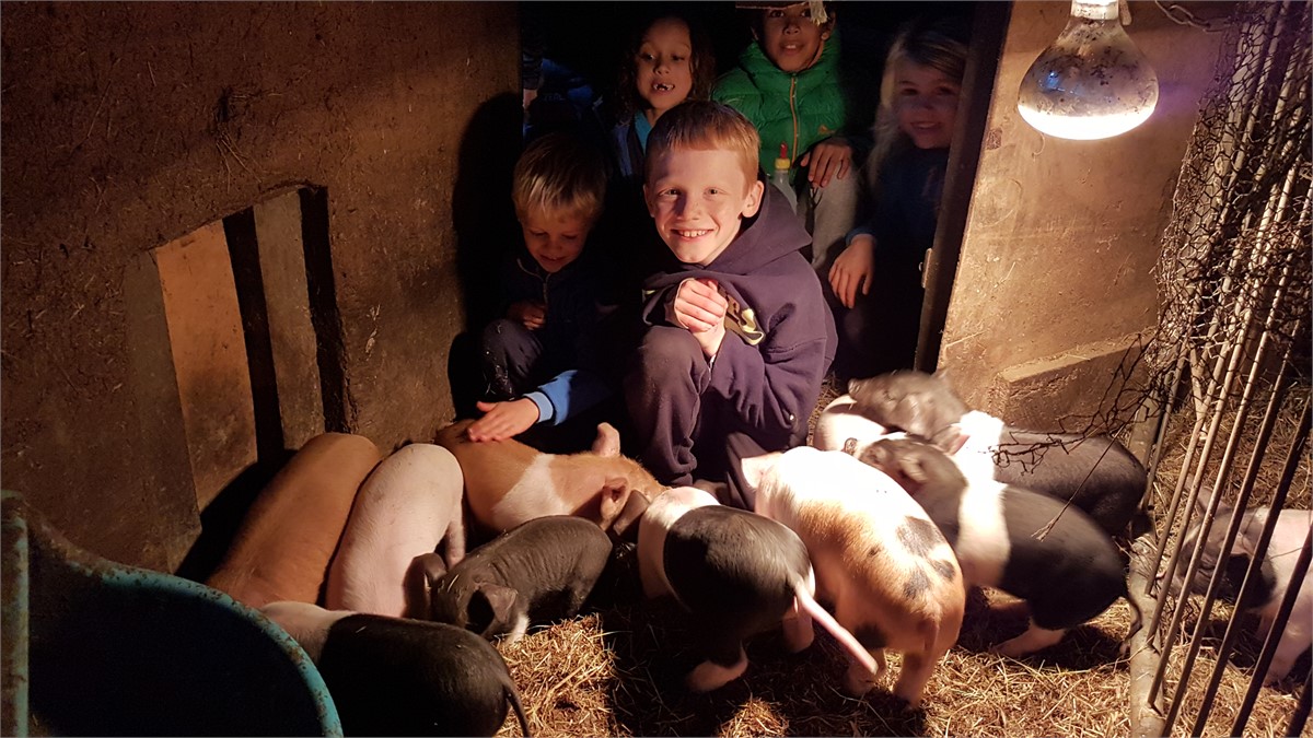 Kids loving piglets