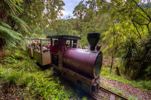 Ride the Rainforest train, five minutes away
