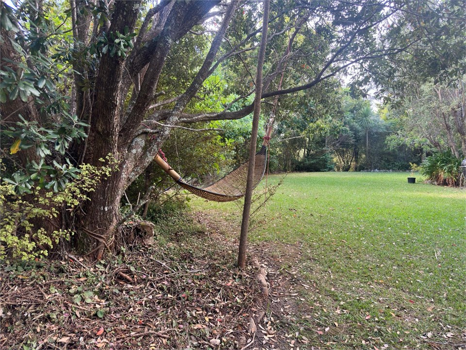 hammock in the garden area