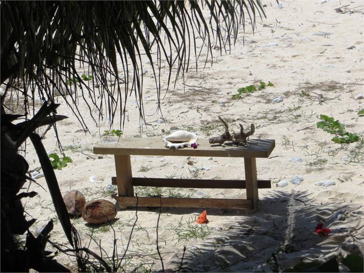 Beachcomber's Life at Heron's Reef