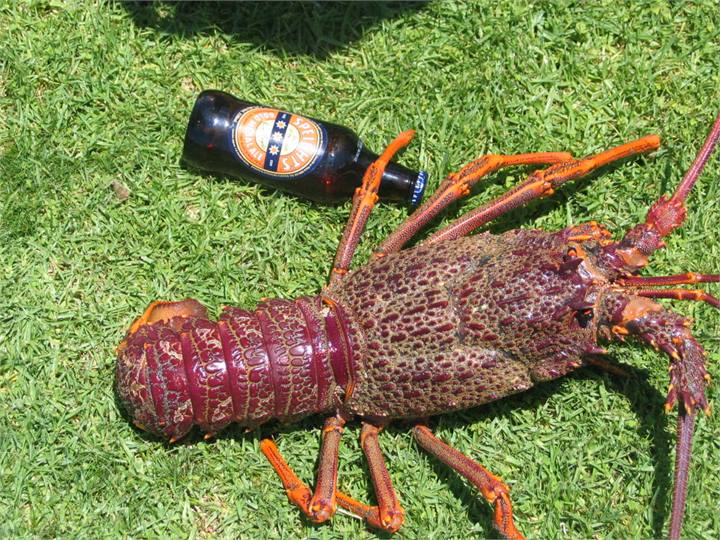 crays 200m off the beach