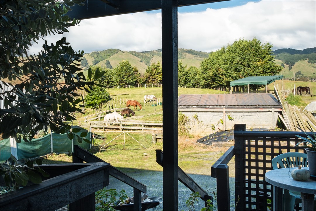 Bring your horses with you