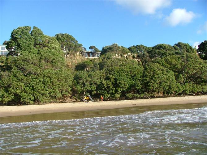 Looking up from the beach