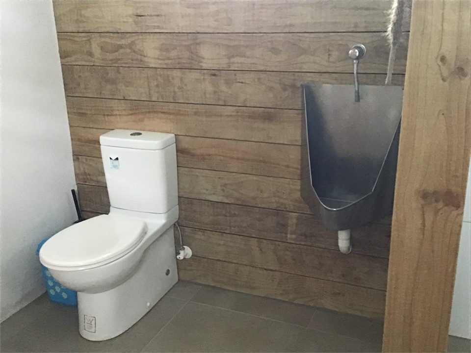 Second bathroom, complete with urinal (a boys thin