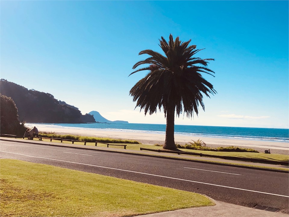 Spectacular Sea Views from House